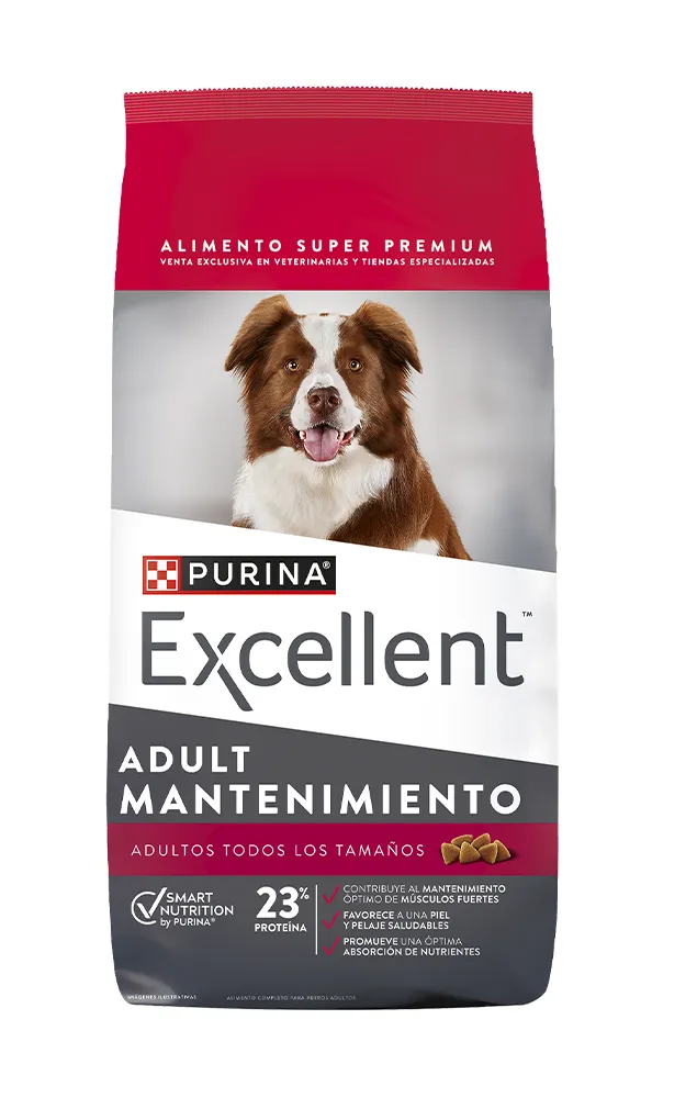 8 Excellent_Perros_AdultMantenimiento.webp